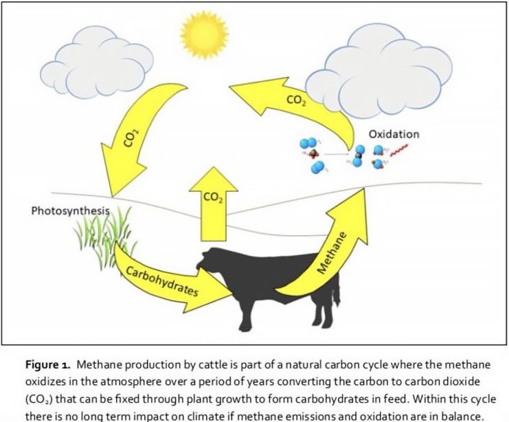 Home Facts About Ruminant Methane (FARM)